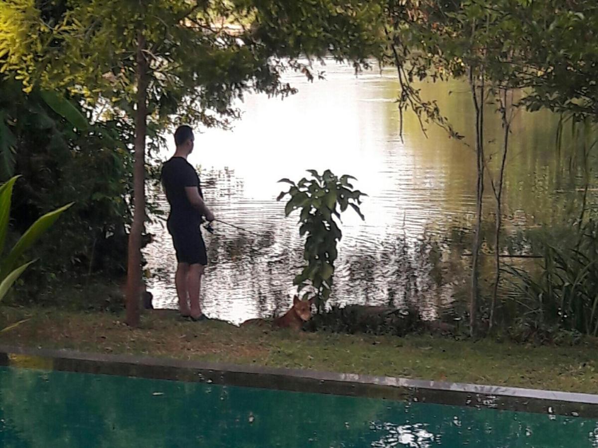 ホテル Vimanra Udawalawa ウダワラウェ エクステリア 写真